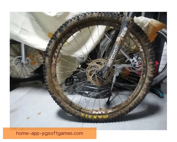 山地车冠军：征战险峰，挑战极限，勇闯风雨山川